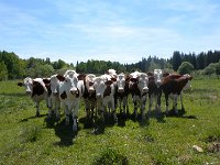 DSCN1458