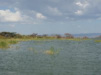 DSC3920  Lac Baringo