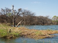 DSC3924  Lac Baringo