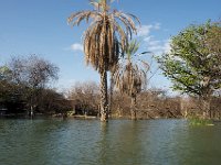 DSC3926  Lac Baringo