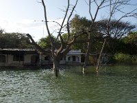DSC3927  Lac Baringo