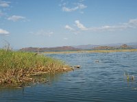 DSC3933  Lac Baringo