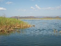 DSC3936  Lac Baringo