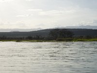 DSC3942  Lac Baringo