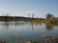DSC3943  Lac Baringo
