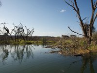 DSC3946  Lac Baringo