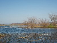DSC3949  Lac Baringo