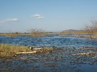 DSC3950  Lac Baringo