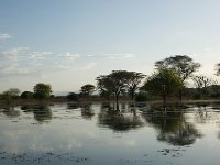 DSC3954  Lac Baringo