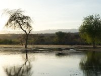 DSC3957  Lac Baringo