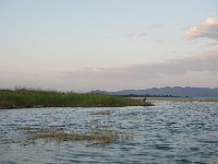 DSC3959  Lac Baringo