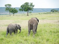 DSC4084