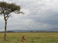 DSC4086