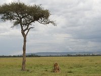 DSC4088