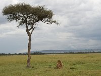 DSC4089