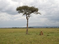 DSC4090