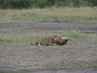 DSC4792
