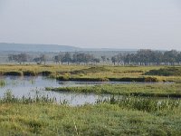 DSC4117