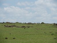 DSC4479