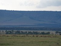 DSC4558