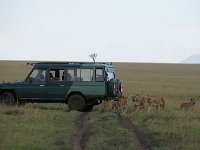 DSC4611