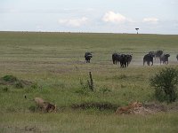 DSC5702