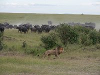 DSC5706