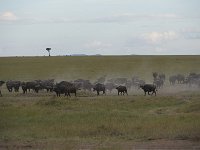 DSC5723