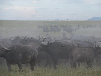 DSC5748