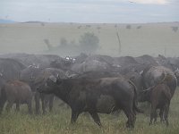 DSC5750