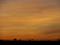 DSC6652