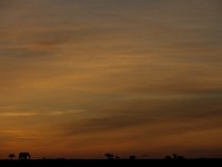 DSC6675