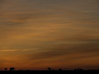 DSC6677