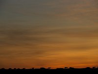 DSC6686