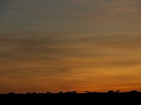 DSC6687