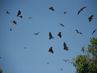 DSC9505