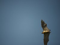 DSC9547