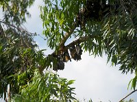 DSC9584
