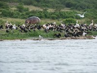 DSC0764