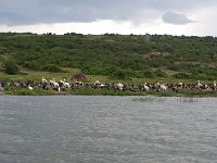 DSC5768