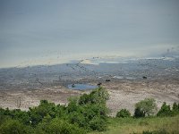 DSC0491