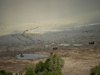 DSC0502