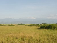 DSC5733