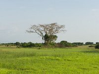 DSC5734