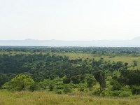 DSC5742