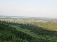 DSC5775