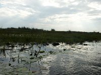 DSC5798