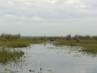DSC5800