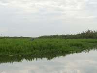 DSC5802