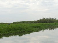DSC5803